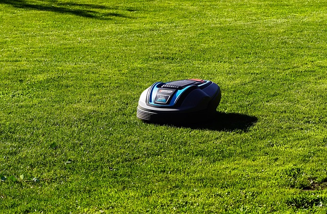 Fremtidens haver: En dybere dykning i robotplæneklipper teknologi