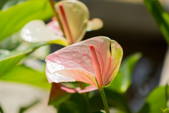 Sådan undgår du faldgruber ved køb af billige blækpatroner online